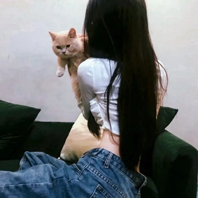 阴守忍者